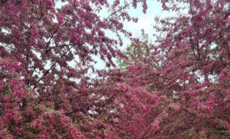 185926374_10219862744698248_2338361380263814734_n (1).jpg